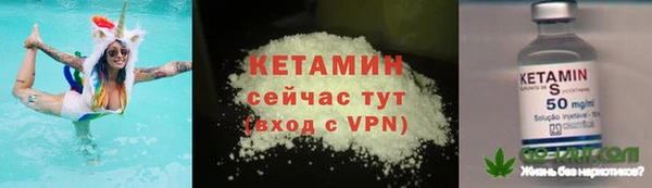 гидра Алексин