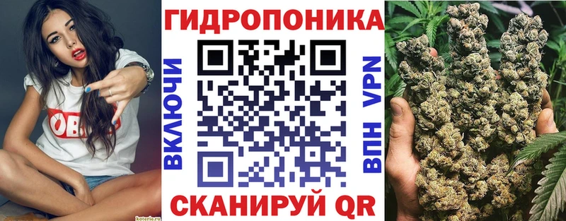 Бошки Шишки марихуана  где найти наркотики  Кочубеевское 